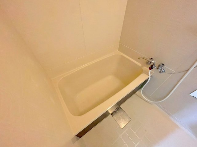 シャトー玉川第一の浴室