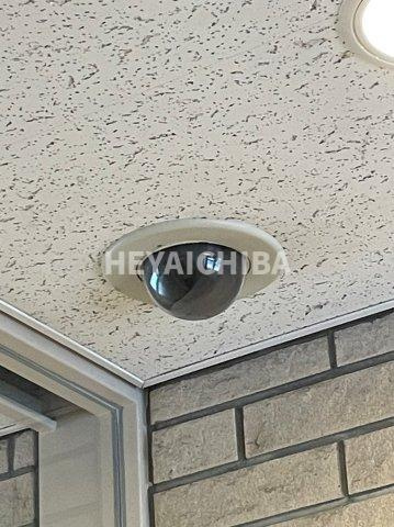 ニューシティアパートメンツ亀戸のセキュリティ|防犯カメラ