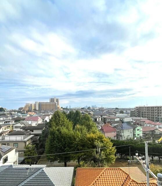 ライオンズガーデン津田沼の展望