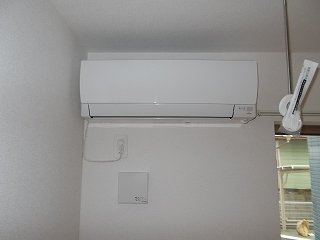 オーキッド・Ｋのその他