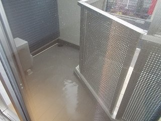 オーキッド・Ｋのその他