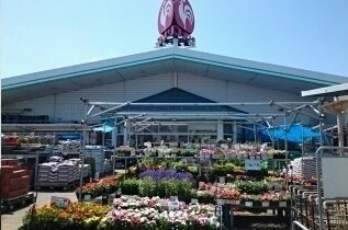 オーキッド・Ｋの周辺|コメリハード＆グリーン神栖店まで1900m