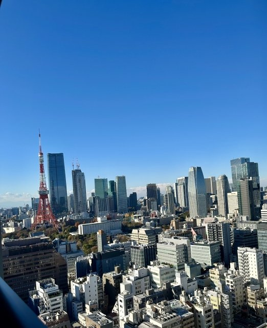 ＷＯＲＬＤ　ＴＯＷＥＲ　ＲＥＳＩＤＥＮＣＥの展望