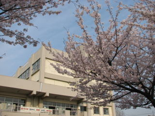 八潮市立大原中学校まで550ｍ