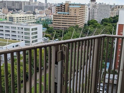【その他】 | ライオンズシティ東陽町親水公園 | バルコニーからの眺望