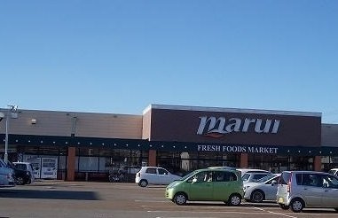 サンリット．ヴィラ．イーストＢの周辺|スーパーマルイ塚野目店まで1300m