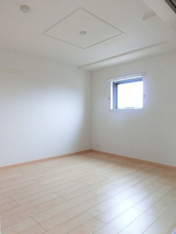 ソルトシャインのその他