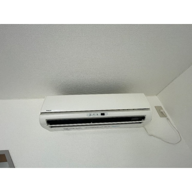 グリーンプゾムのその他