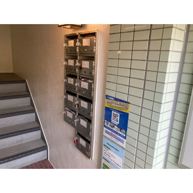 グリーンプゾムのその他