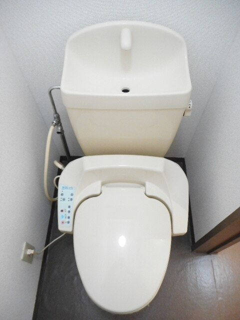 ブルークローバーのトイレ