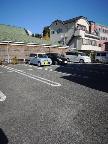ボニータ　テラのその他