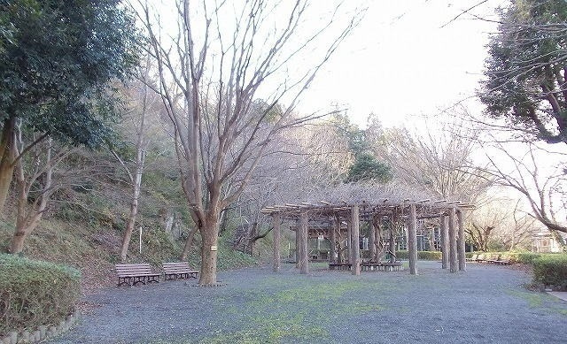 グラン・ブルーの周辺|その他「本城山公園まで500m」