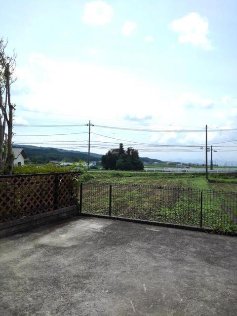 サンフラワー岩波のその他