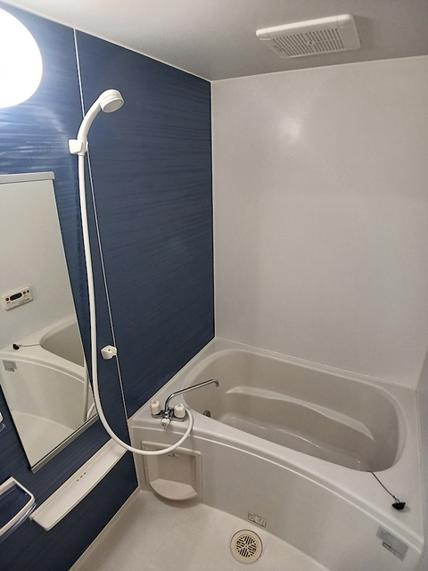 エンブレイス　ゼファーの浴室