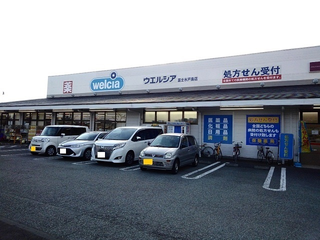 エルディム鈴木の周辺|その他「ウェルシア富士水戸島店まで900m」