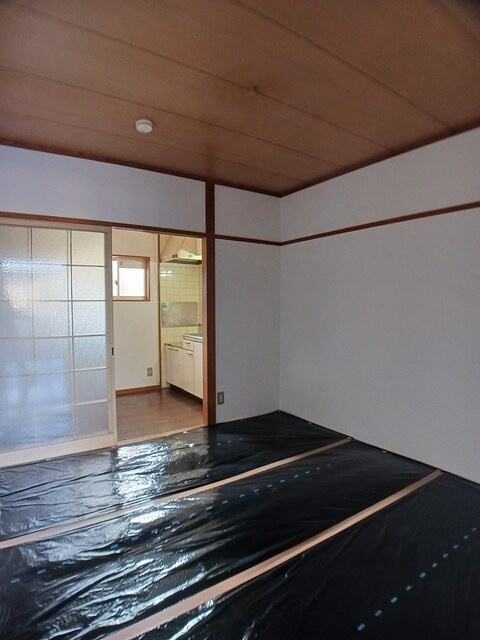 セントポーリアＳＴのその他