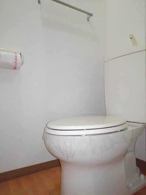 サラシティーのトイレ