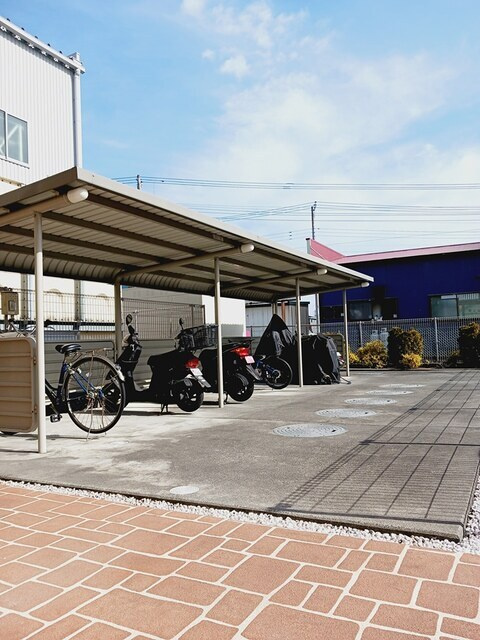 レインボー　ローズ　Ⅰのその他