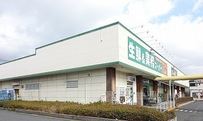 カーサグランデⅠの周辺|その他「マミー原町店まで300m」