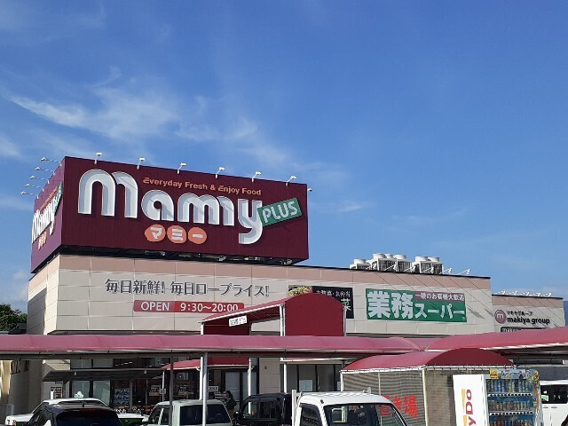 ドミール小林Ⅱの周辺|その他「マミー 広見店まで650m」