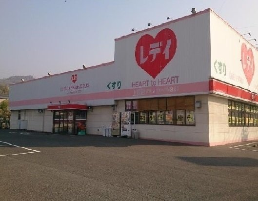タウニ－ヒルズⅡの周辺|レディ薬局まで800m