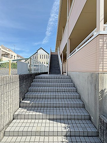 ヒルズｍｙのその他
