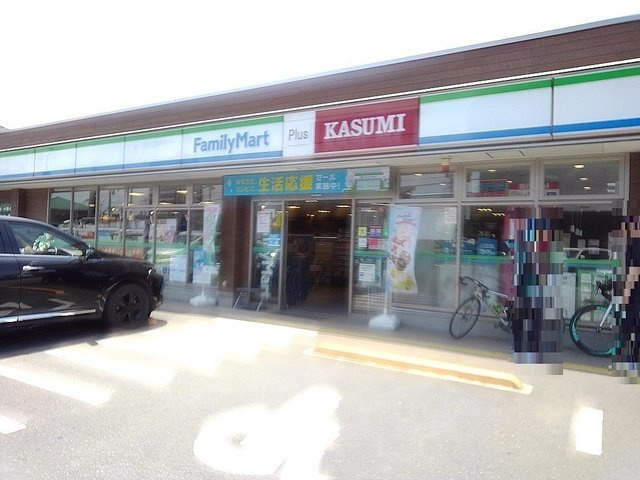 ライジング・プレイスの周辺|ファミリーマート八潮大原店まで250m