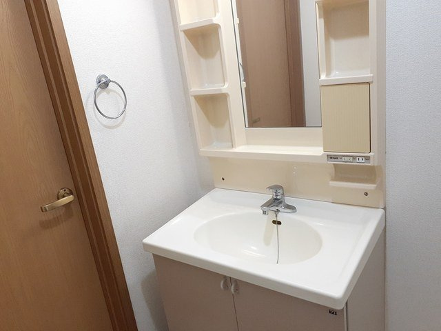 プレシャスの洗面所