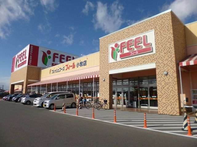 ラポールアネックスⅠの周辺|フィール　小牧店まで1000m