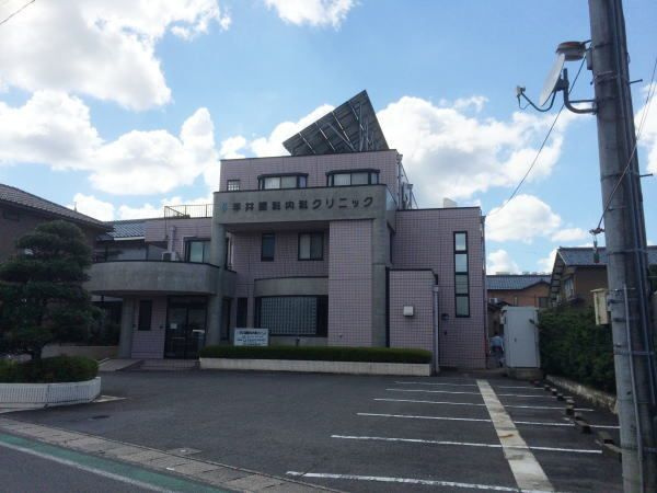 バーベナのその他