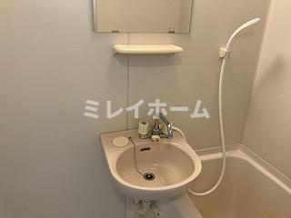 ルーブル西大井の洗面所