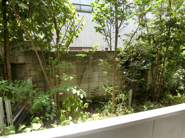 Ｍａｉｓｏｎ　Ｄの展望|★眺望★