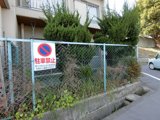 中ノ山ハイツの庭
