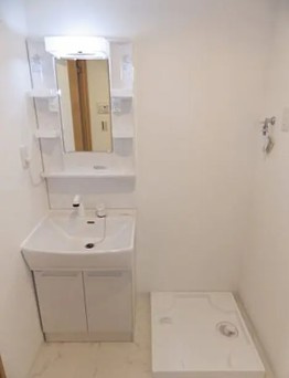 アセット瑞江の洗面所