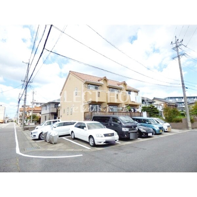  | グラシア