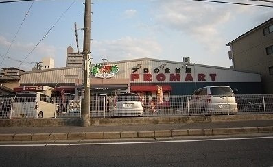 ルミエール　五日市駅前の周辺|プロマートまで160m