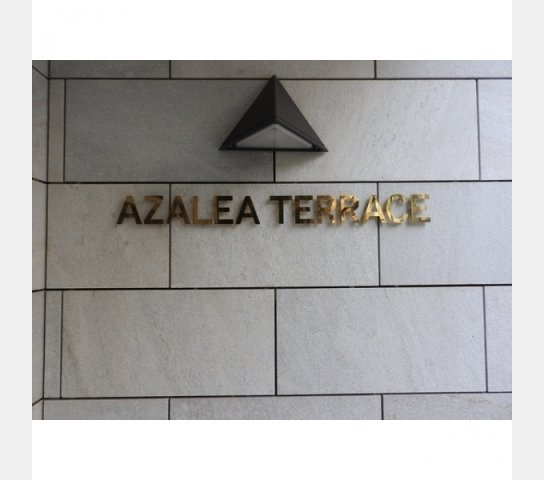 ＡＺＡＬＥＡ　ＴＥＲＲＡＣＥのその他