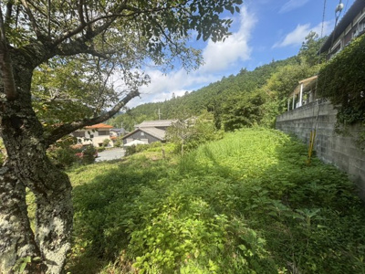 【外観】 | 丹波篠山市味間新　土地