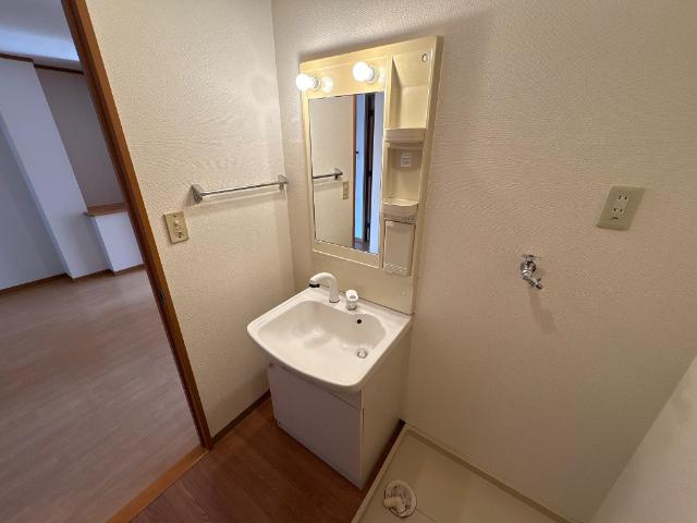 サンフィット・プレイスの洗面所|シャンプードレッサー