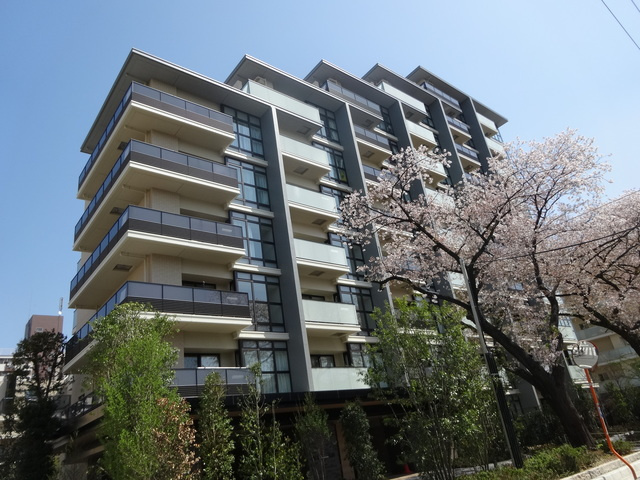 ブランシエスタ王子の外観|マンションの前の桜並木が本当にきれいです♪