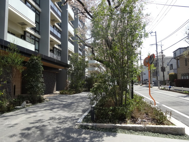 ブランシエスタ王子のその他共用部分|マンションの前の桜並木が本当にきれいです♪
