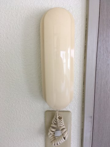 パイングローブのセキュリティ