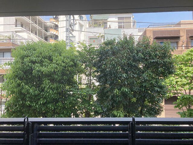 グランスイート広尾の展望