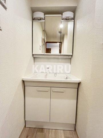 プロスペリタ野江の洗面所