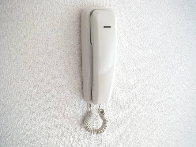 グリーンタウン津留崎【10,000円キャッシュバック対象物件】のセキュリティ|インターホンです