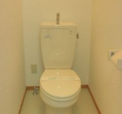 ドルミⅠのトイレ|落ち着いた色調のトイレです
