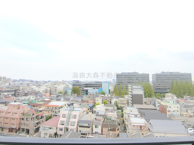 TFレジデンス京急蒲田の展望|展望