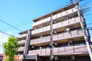 Ｋ．Ｍリシェスの画像