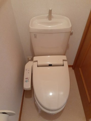 エステート・Ａ　Ⅱのトイレ