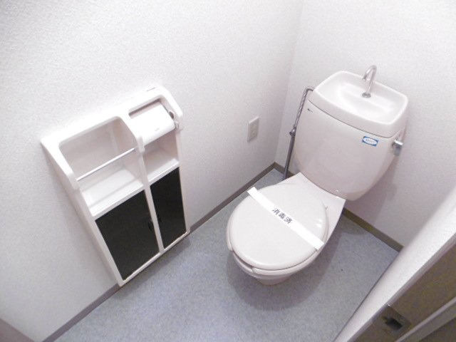 レジデンス国分II【10,000円キャッシュバック対象物件】のトイレ|清潔感のあるトイレです